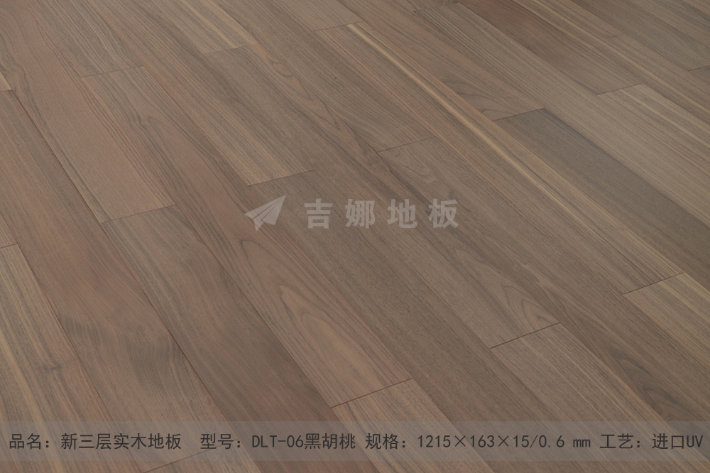 DLT-06-1.jpg