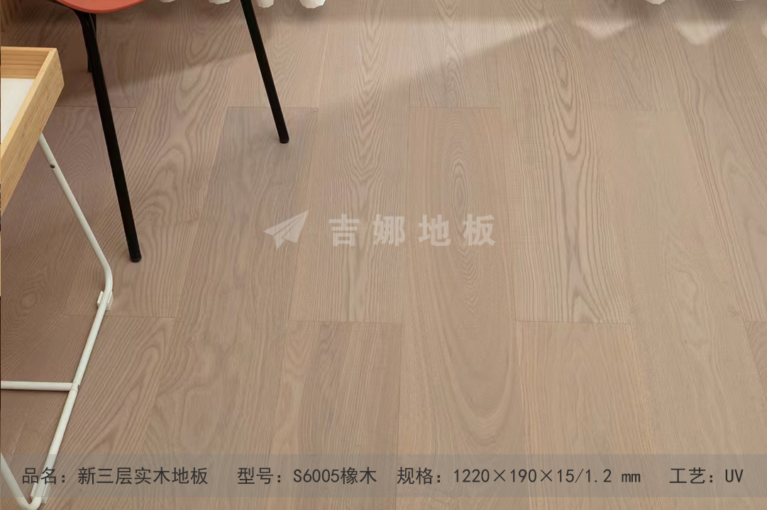 S6005.jpg